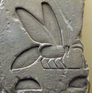 3100-300 BCE: Egypt  The Egyptians considered the bee so important that they used it in their hieroglyphic writing system. The bee symbolized the king and the land of Egypt. 